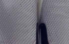 10422020_699145666861479_5749932883659024759_n 10422020_699145666861479_5749932883659024759_n