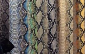 10460824_702858136490232_581569456065804982_n 10460824_702858136490232_581569456065804982_n