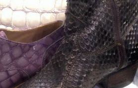 10982411_702857983156914_1023640679824040260_n 10982411_702857983156914_1023640679824040260_n