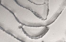 01df8acb-e304-406e-b8ac-f2dd79b42ae4 01df8acb-e304-406e-b8ac-f2dd79b42ae4