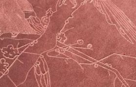 249841e7-a133-469e-9519-111a9bbb7490 249841e7-a133-469e-9519-111a9bbb7490