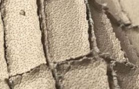 2e513926-1379-4c27-96fd-bb5efb063456 2e513926-1379-4c27-96fd-bb5efb063456