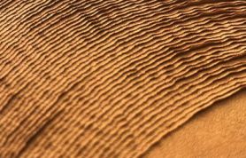 ce22c2cf-b54a-42c1-a1b4-d082463e6d64 ce22c2cf-b54a-42c1-a1b4-d082463e6d64