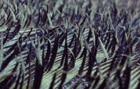 IMG_1160 IMG_1160