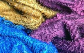 IMG_4538 IMG_4538