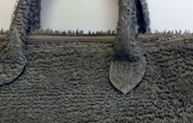 IMG_5530 IMG_5530