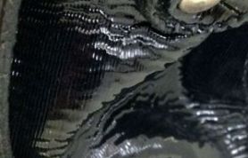 IMG_5537 IMG_5537