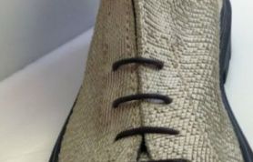 IMG_5546 IMG_5546