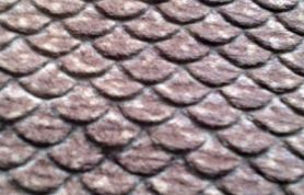 IMG_0791 IMG_0791