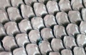 IMG_2690 IMG_2690