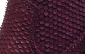 IMG_5496 IMG_5496