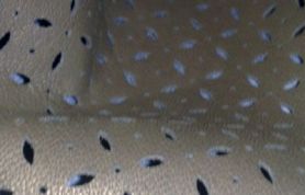 160920091272 160920091272