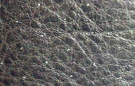 160920091289 160920091289