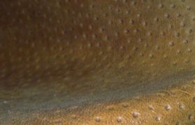 160920091292 160920091292